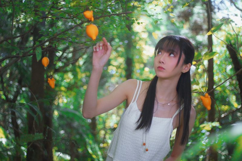 Island Way Too Nice listed on Steam